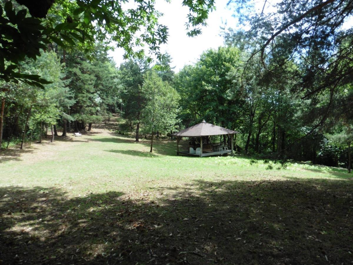 Le Petit Rias Gîte Soleil Saint Maurice en Chalencon Extérieur photo