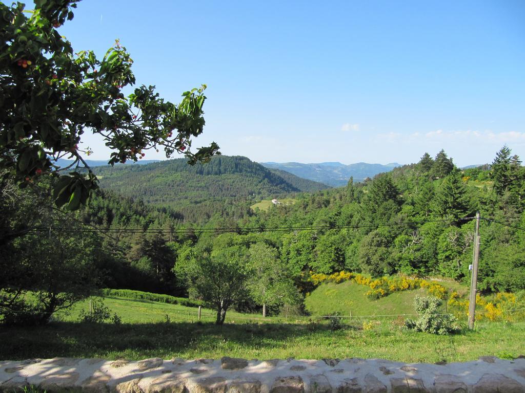 Le Petit Rias Gîte Soleil Saint Maurice en Chalencon Extérieur photo