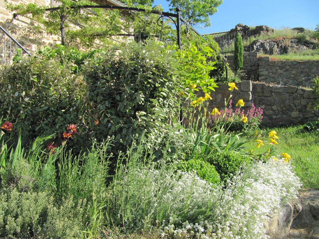 Le Petit Rias Gîte Soleil Saint Maurice en Chalencon Extérieur photo
