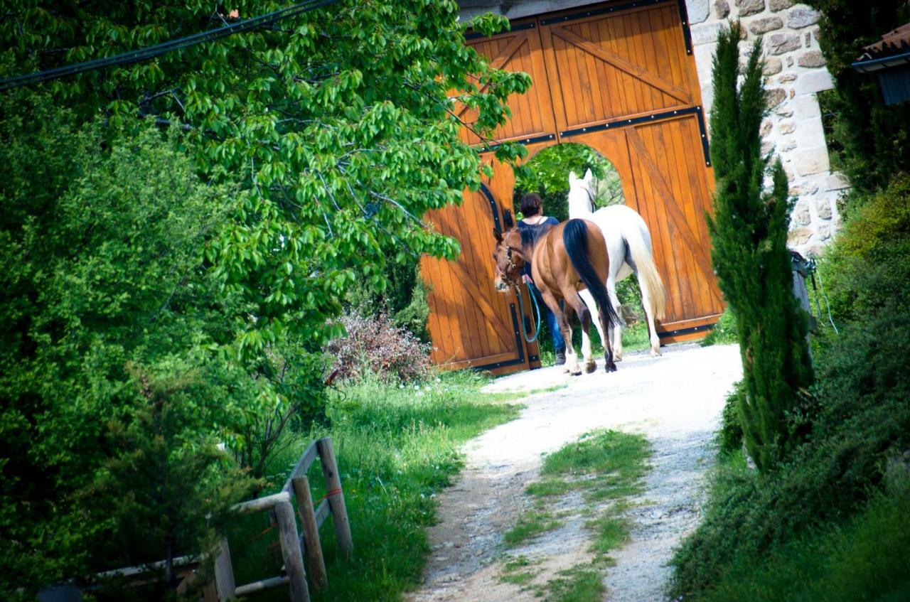 Le Petit Rias Gîte Soleil Saint Maurice en Chalencon Extérieur photo
