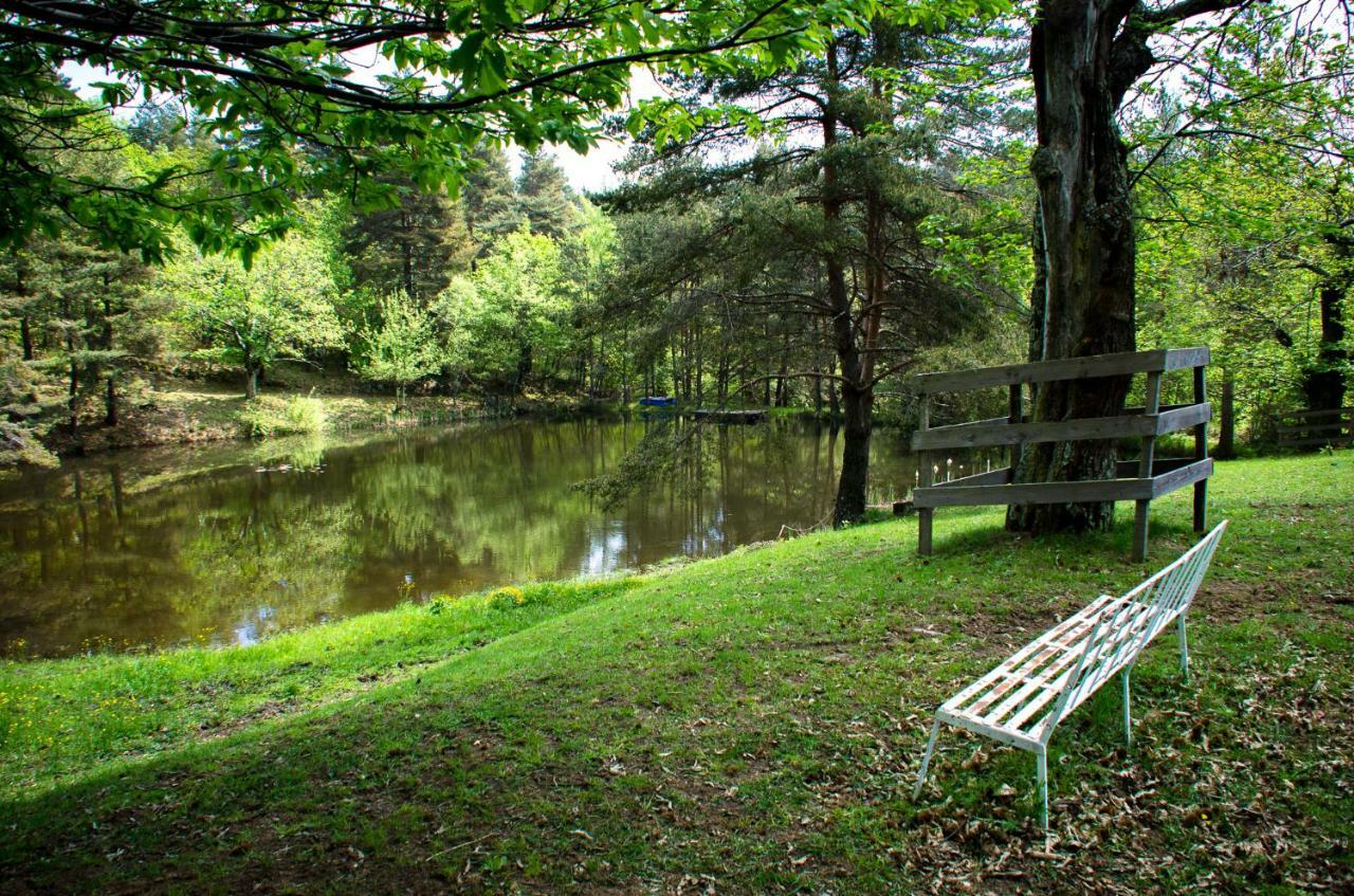 Le Petit Rias Gîte Soleil Saint Maurice en Chalencon Extérieur photo